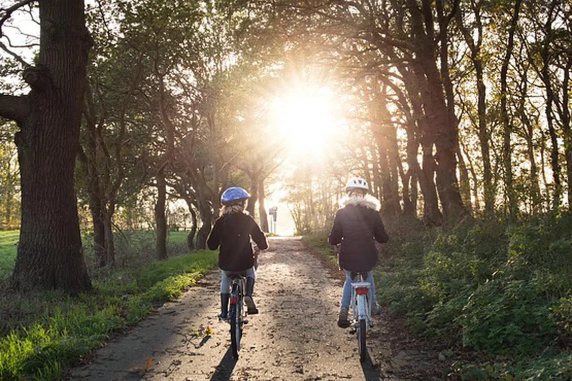 So much starts with the bike. The Dutch built cycling infrastructure that allows children to get around their neighbourhoods alone, safely.