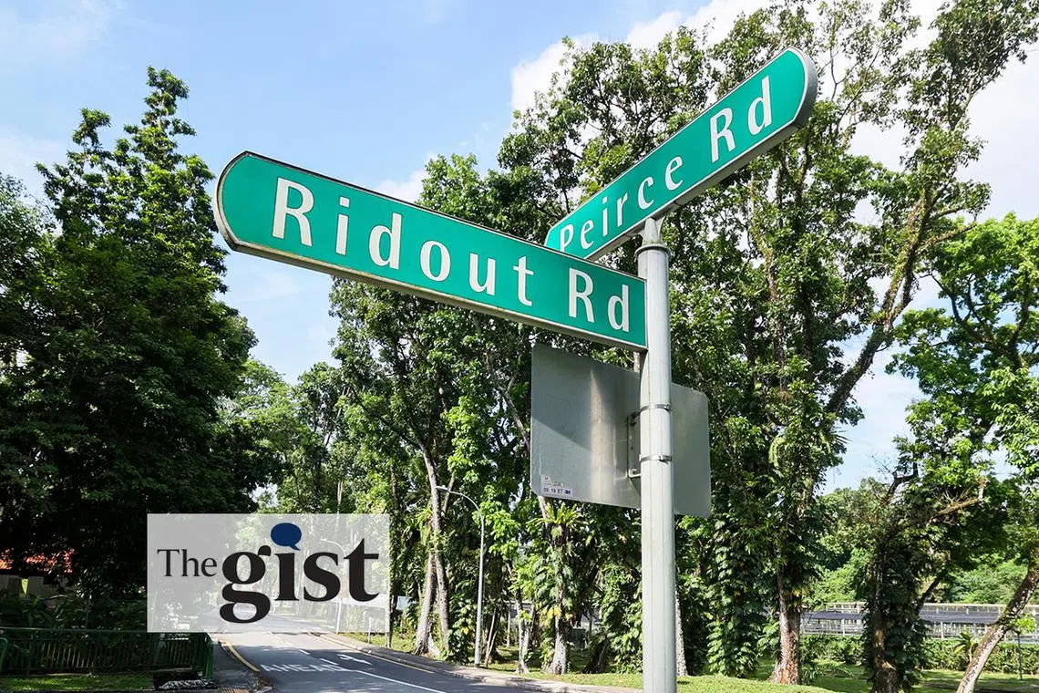 MPs aired questions for close to six hours about Cabinet ministers K. Shanmugam and Vivian Balakrishnan renting Ridout Road properties.