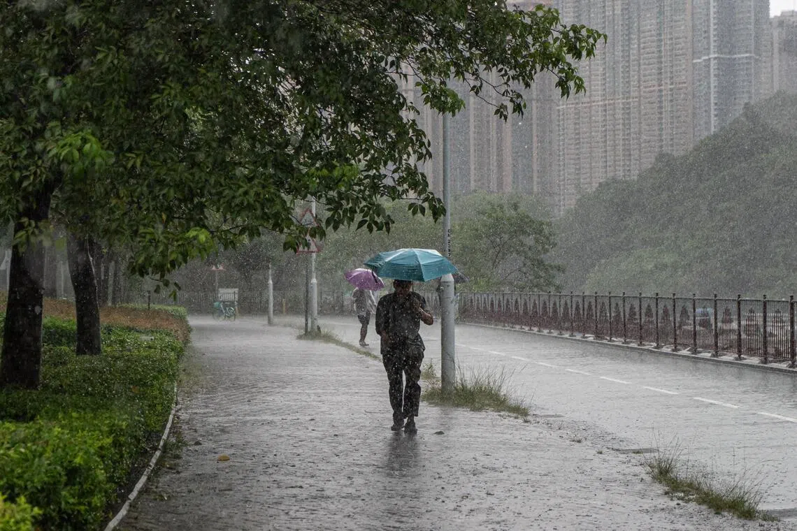 For now, billions in investments in sprawling infrastructure in Hong Kong have kept the full wrath of natural disasters in check.