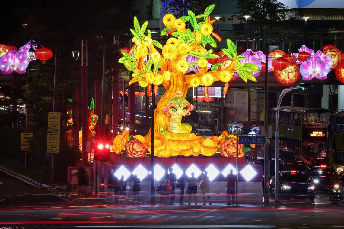 The Year of the Snake commences Jan 29. Let’s also make 2025 a year for the snake, says the writer.