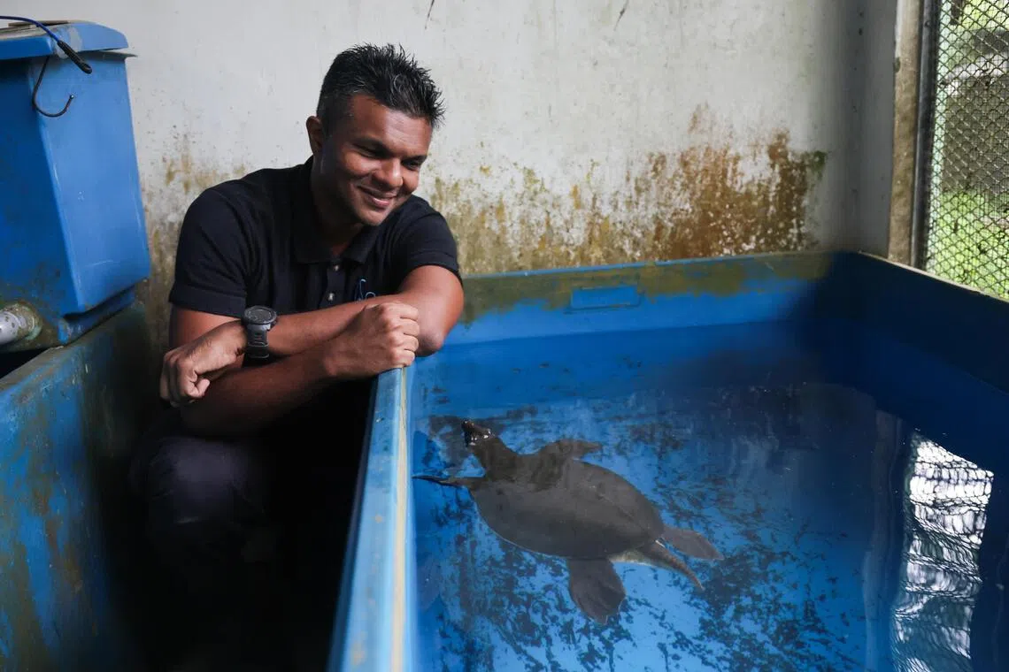 ACRES chief executive Kalaivanan Balakrishnan with a pig-nosed turtle named Buddy.