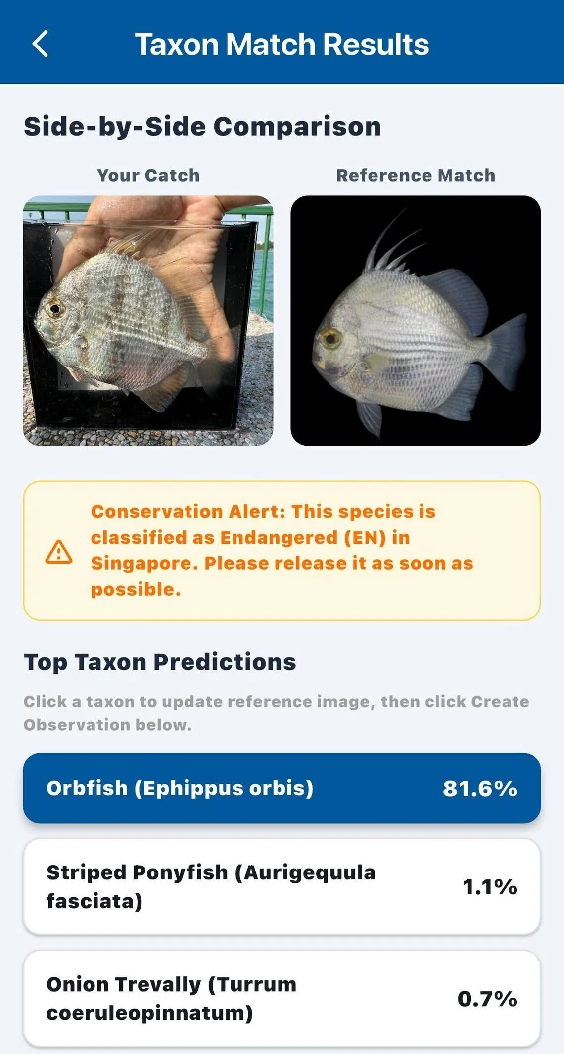 SGFish, a Singapore Fish Identification and logging app made by the Ichthyological Society of Singapore to help locals to identify their catches or encounters with fishes.