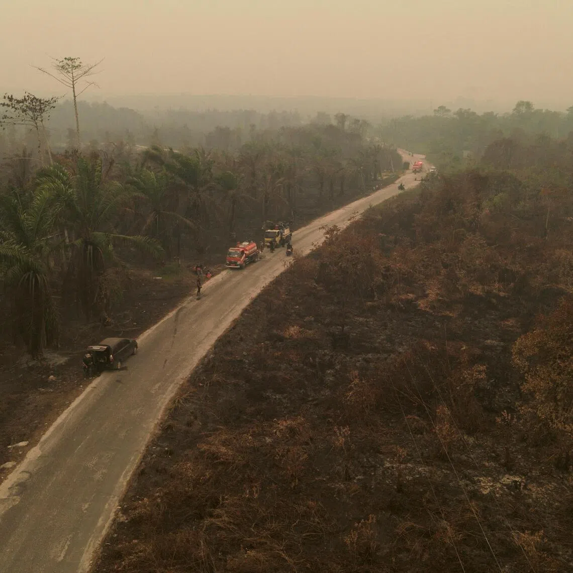 The haze has disrupted everyday life, agricultural activity and transport in Indonesia.