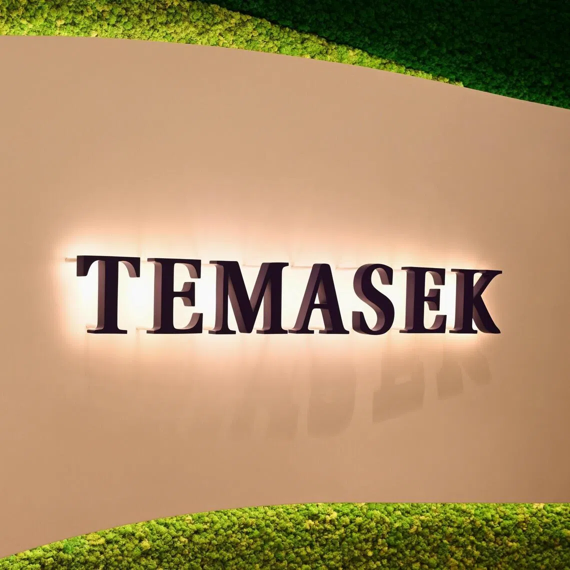 Temasek increased its net portfolio value by $49 billion to a new high of $518 billion in the financial year ended March 31, driven by strong performance from its Singapore-based portfolio companies.