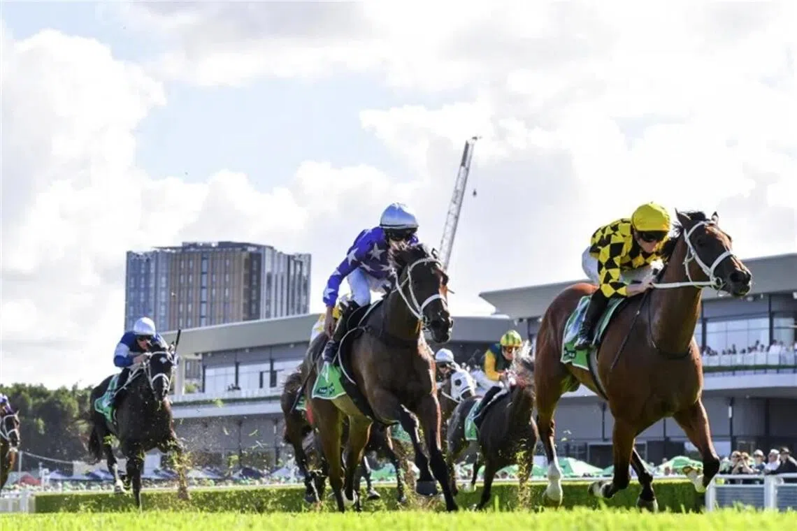 Autumn Glow - Autumn Glow

PHOTO: SKY RACING WORLD