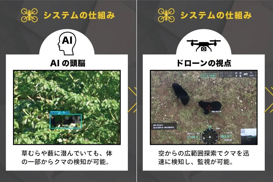 The new system will be able to detect bears hidden from view in mountainous or urban areas, and share their locations via smartphones.
