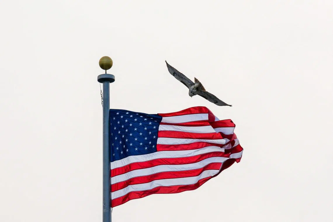 A hawk flies near a US flag above the Eisenhower Executive Office Building, next to the White House, in Washington, DC on February 9, 2024. (Photo by Mandel NGAN / AFP)