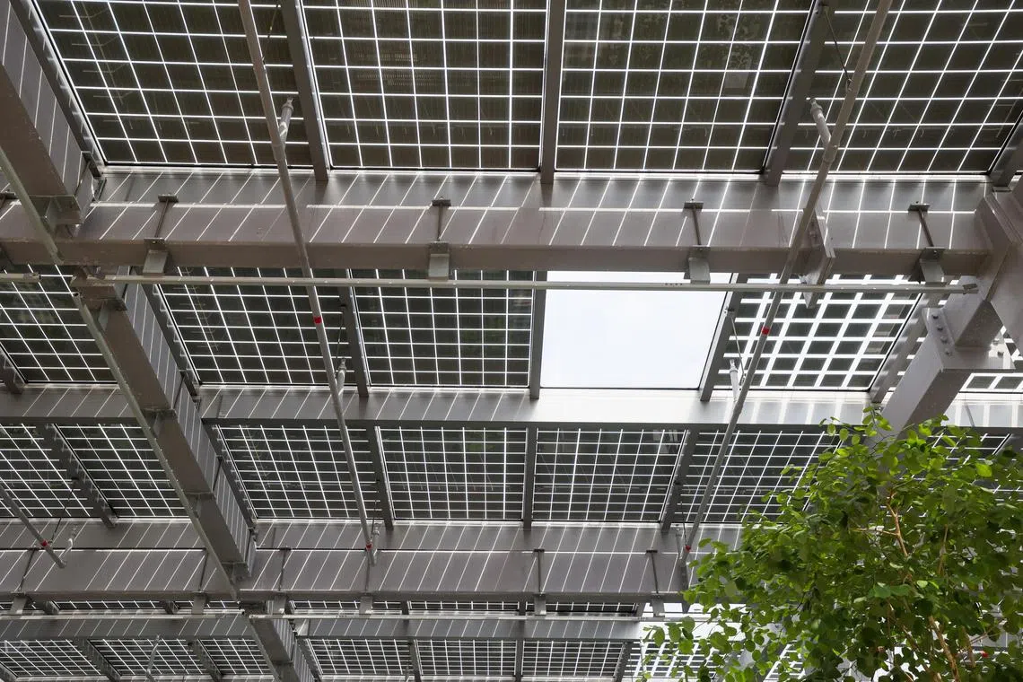 CMG20231123-LynnetteT01/卓祾祎/谢慧平/Launch of The Greenhouse	[Dulwich College (Singapore) (DCSG), 71 Bukit Batok West Ave 8, Singapore 658966] Stepping on kinetic tiles to generate energy.