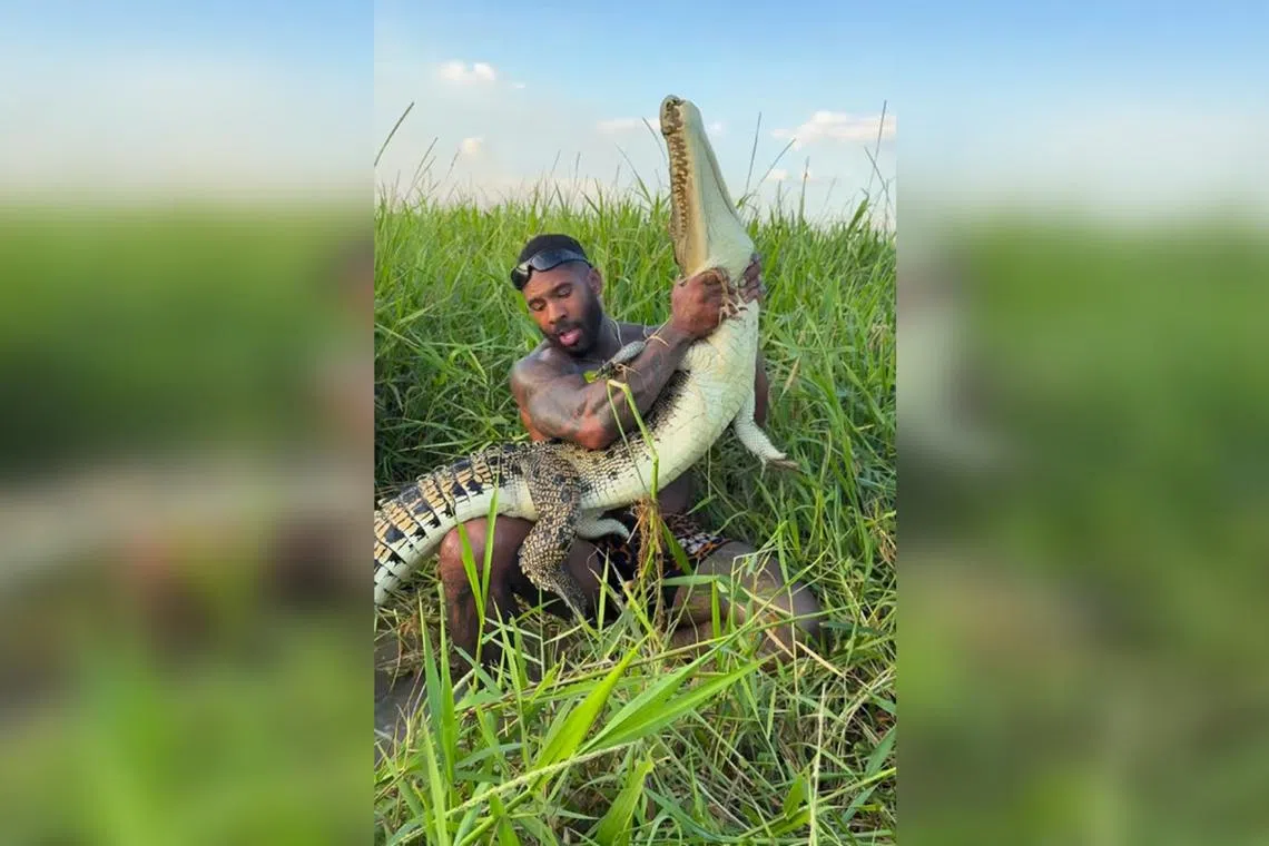 In one Instagram video, Mr Holston jumps off a boat and into a bushy waterway in pursuit of a crocodile, which he then wrestles.