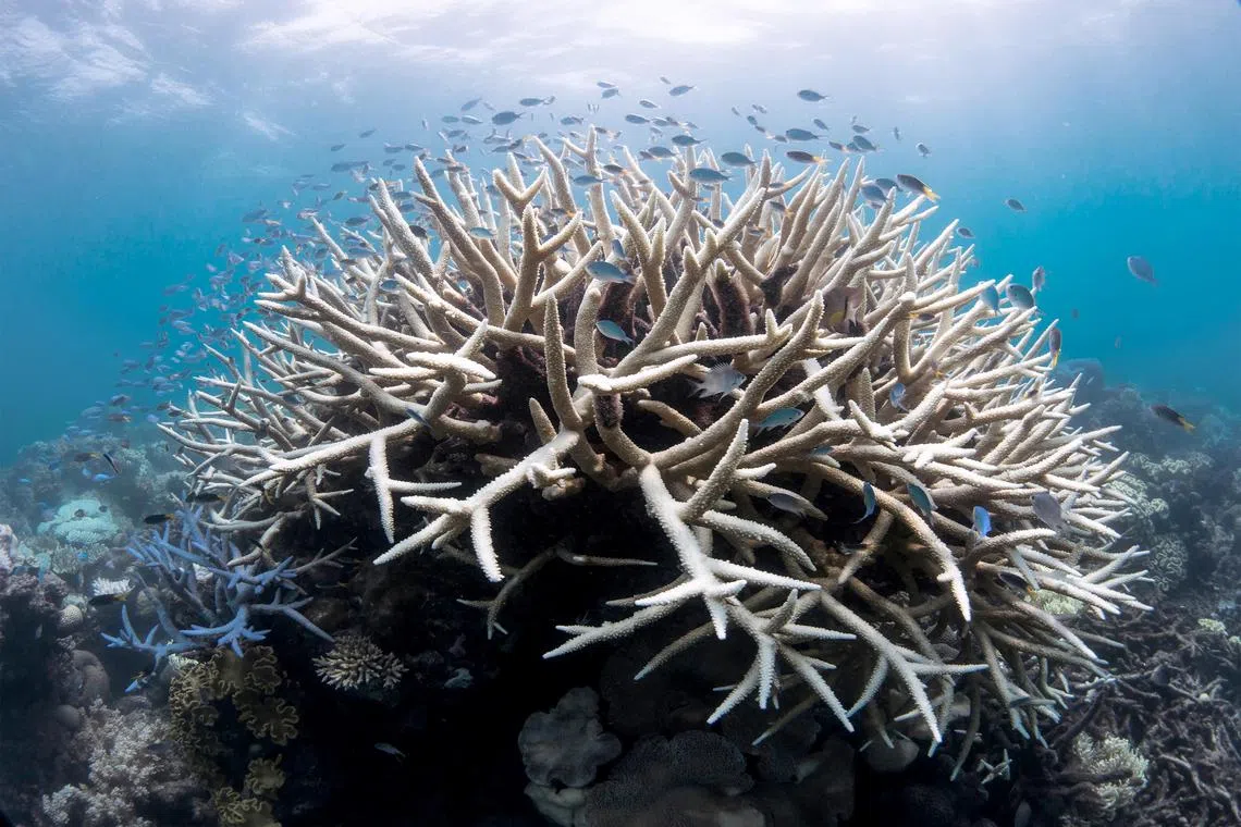 The last temperature data point, from January to March of this year, was the highest on record above any other year.