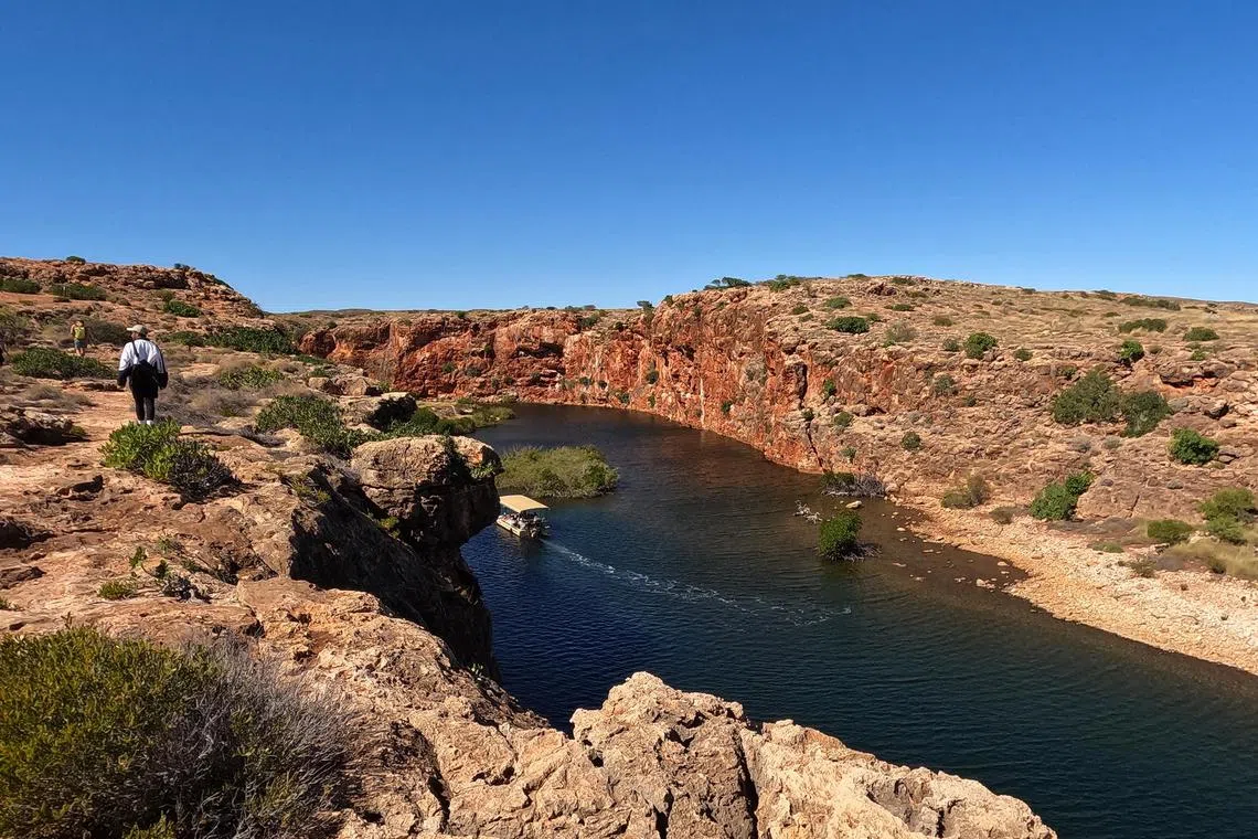 Hike through Yardie Creek Gorge or explore it by boat.