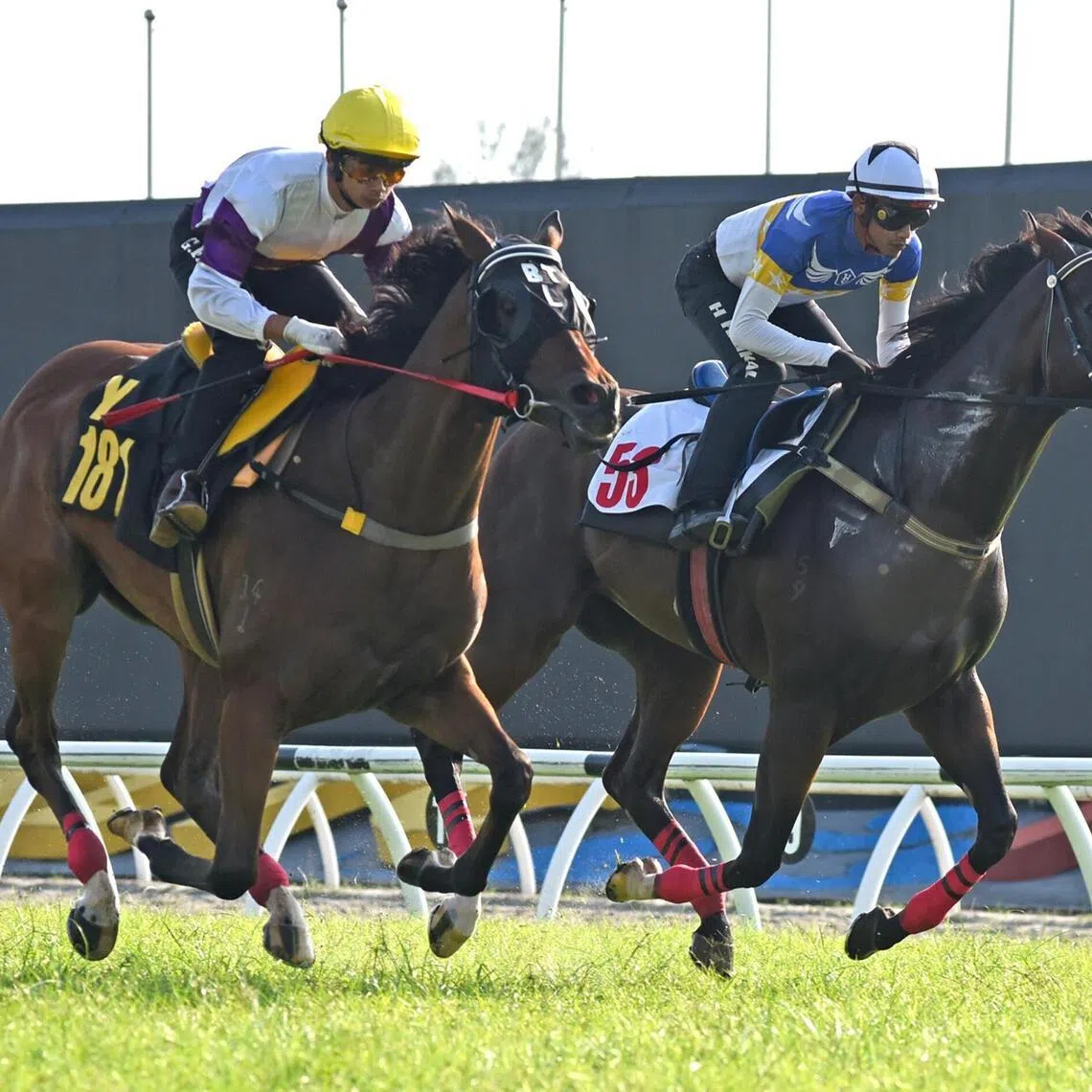 bmtrials09 - Banker's Victory


PHOTO: SELANGOR TURF CLUB