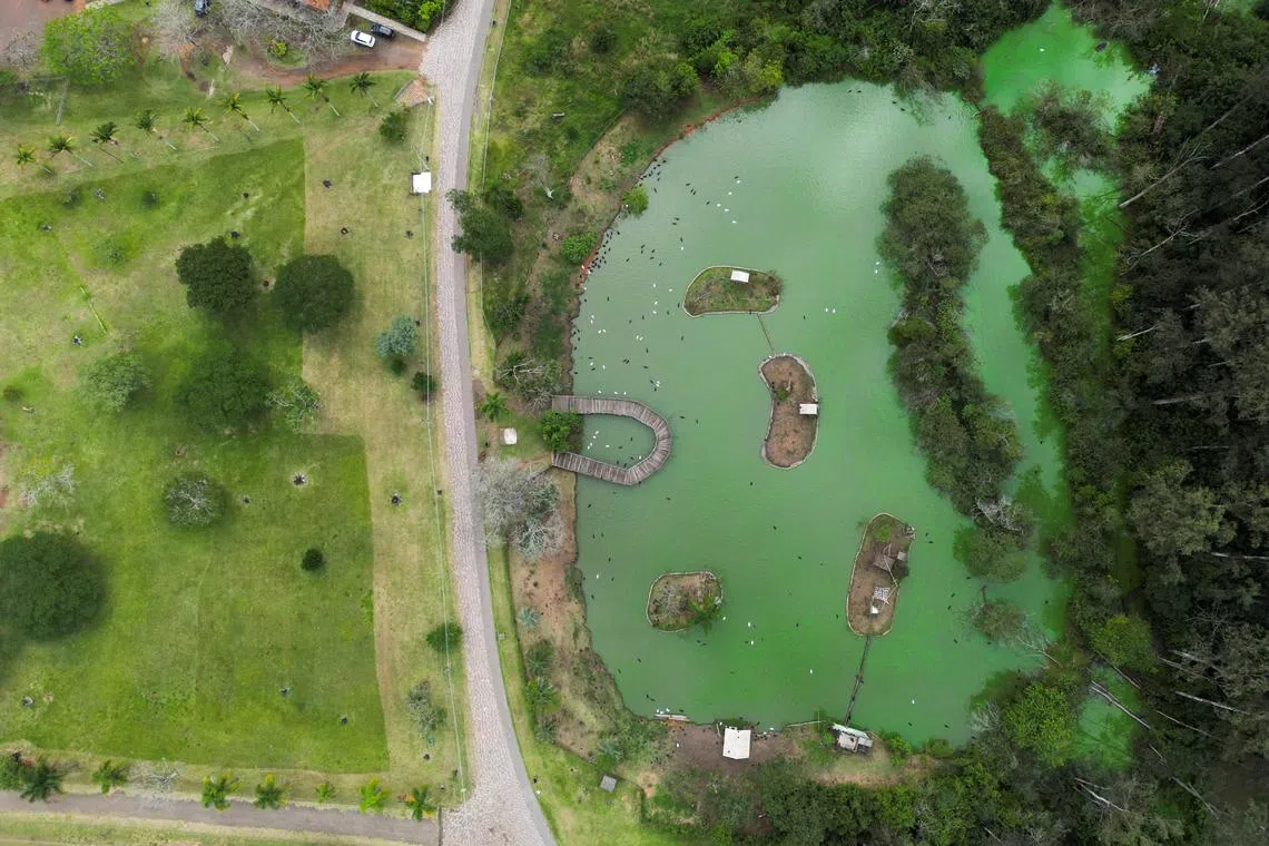 A drone image shows a pond filled with birds at a closed zoo after Brazil confirmed an outbreak of bird flu on Friday, triggering protocols for a nationwide trade ban of poultry for top buyer China and state restrictions for other major consumers, in Sapucaia do Sul, Brazil, May 19, 2025. REUTERS/Diego Vara