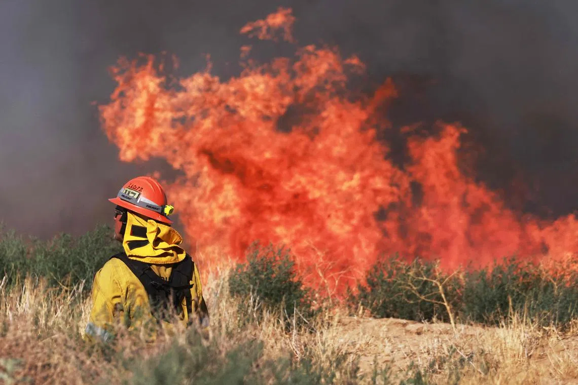 A firefighter watches a prescribed burn as the Max Fire burns in Lancaster, California, June 16, 2024. (Photo by David SWANSON / AFP)