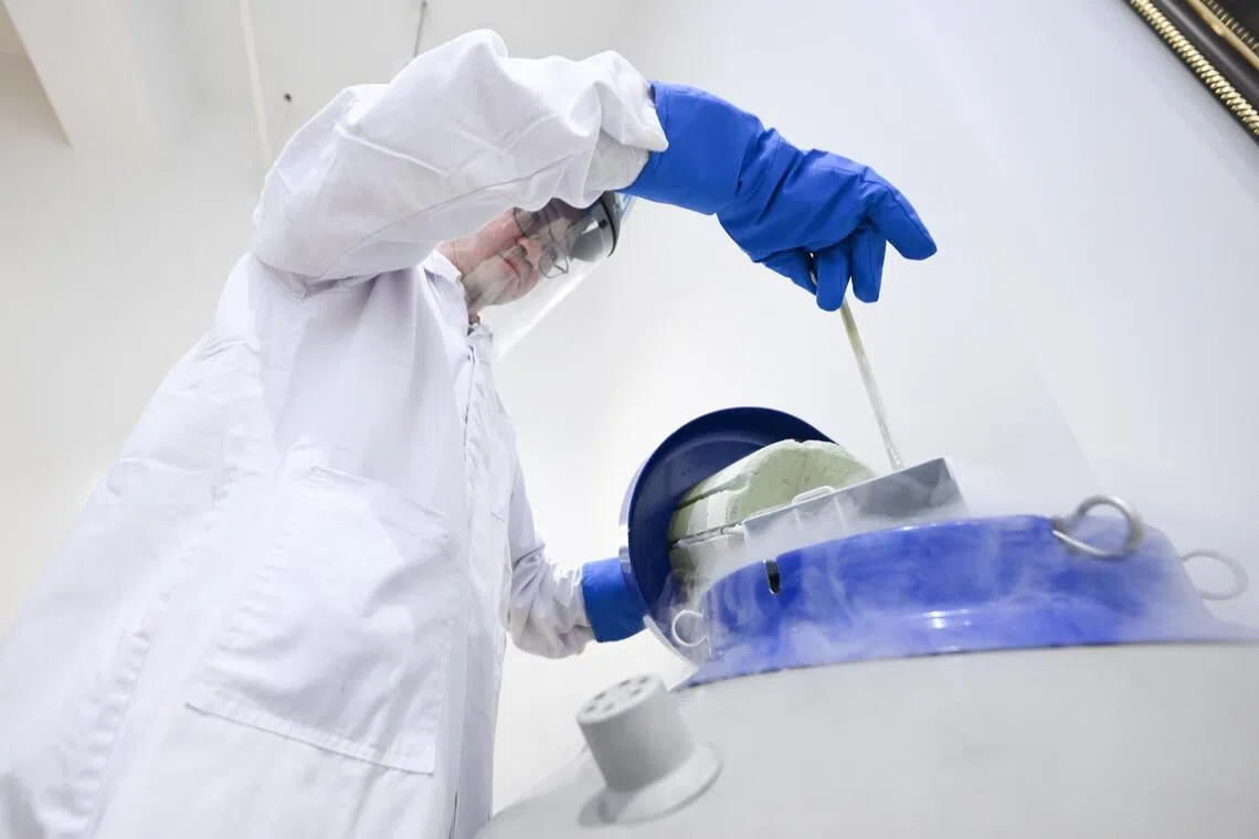Technical director Ong Chee Tian retrieving a cell bank inside the cryogenic storage dewar at CellResearchCorp. A dewar is a specialised double-walled vacuum container designed to store cryogenic liquids.