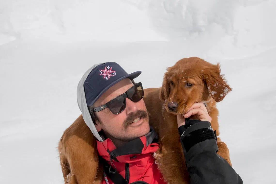 This puppy could someday save your life