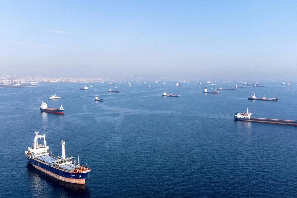 Commercial vessels including vessels which are part of Black Sea grain deal wait to pass the Bosphorus strait in Istanbul, on Oct 31, 2022. 
