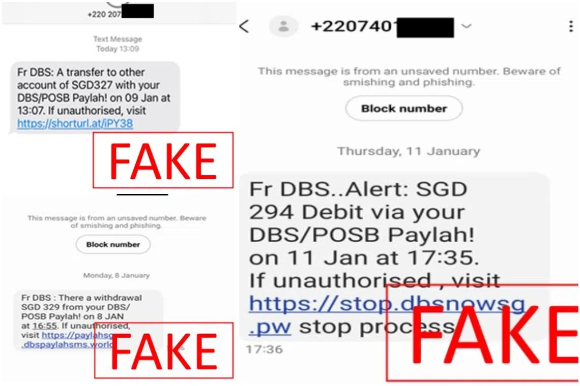 Screenshots of SMSes from purported scammers.  