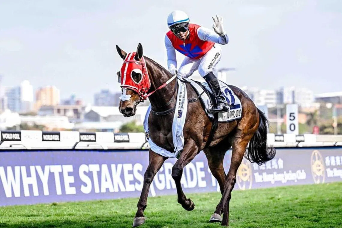 First major Dubai test for Quid Pro Quo