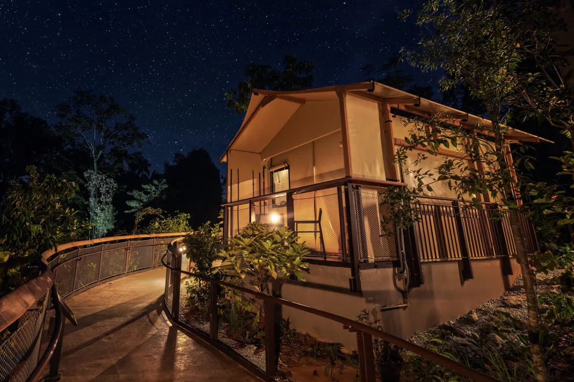 mandai wildlife reserve glamping crocodile lodge