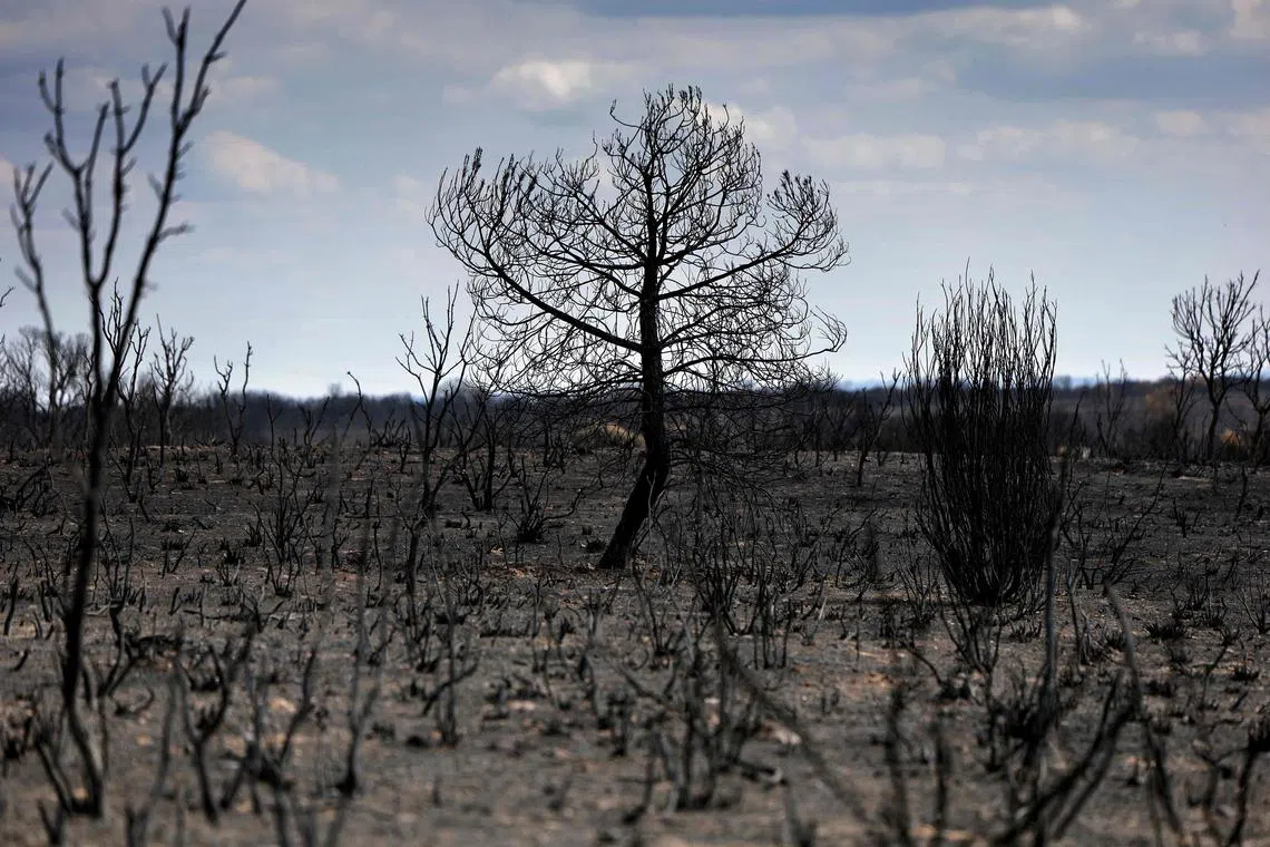 The blazes started during a two-week heatwave that sent temperatures above 40 deg C.