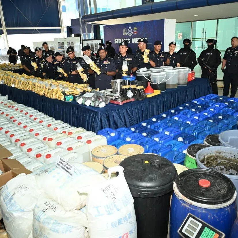The authorities said the raids produced one of the country's biggest drug seizures.