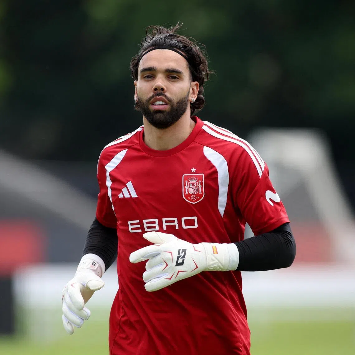 Spain's David Raya enjoyed an outstanding season at Arsenal, helping the Gunners to a first Premier League title in 22 years and to reach the Champions League final.