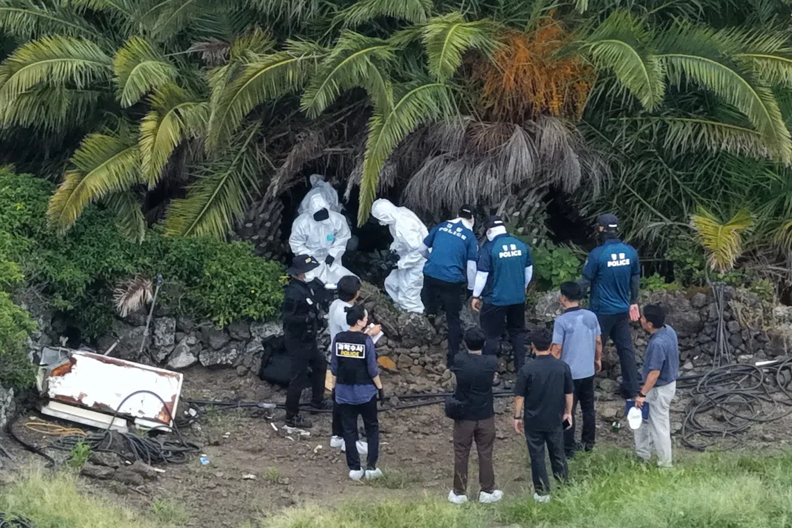 Investigators examine the scene at a palm tree farm in Jeju on Aug 24, where the presumed body of a missing woman, Jang Mi-ran, was found.