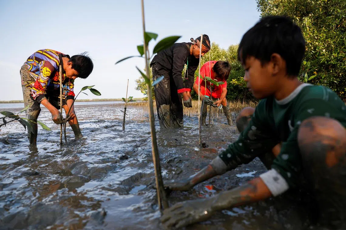 People plant mangrove trees at Tiris beach in Pabeanilir village, Indramayu regency, West Java province, Indonesia, March 11, 2021. Picture taken March 11, 2021. REUTERS/Willy Kurniawan