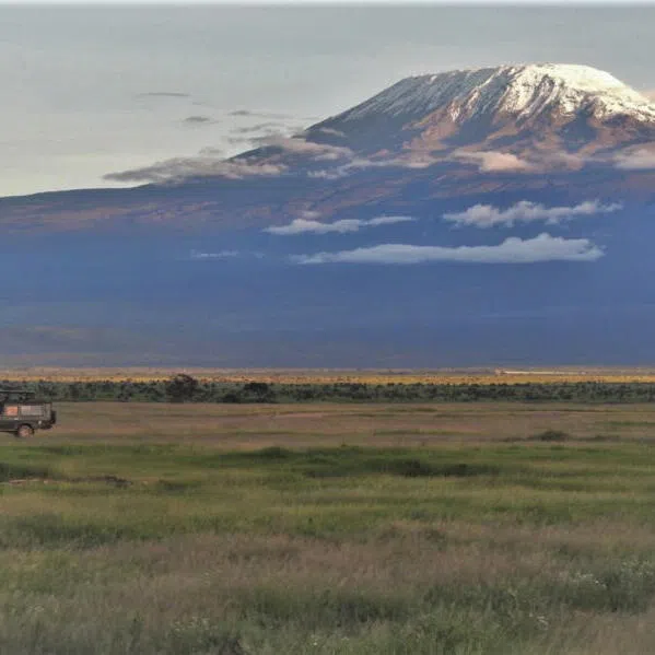 A rare clear view of Mount Kilimanjaro, Amboseli National Park, Kenya.