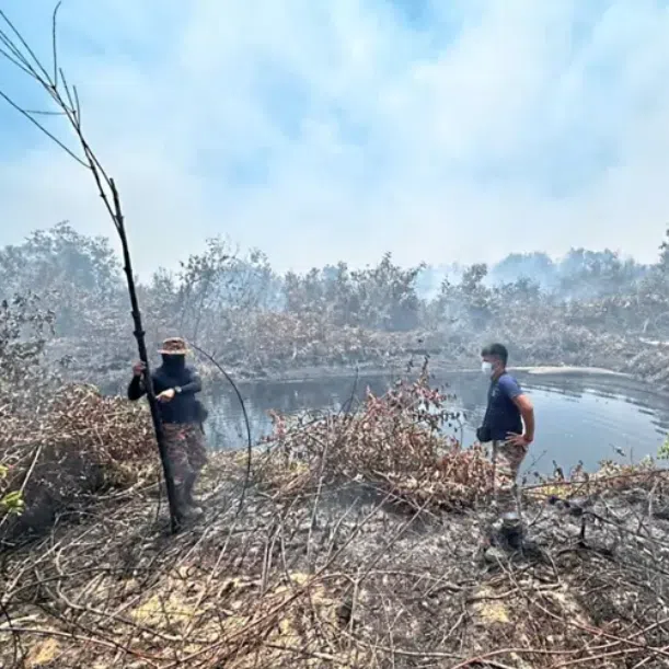 Firemen working on extinguishing the fire near the Desaru-Pengerang highway in Johor.