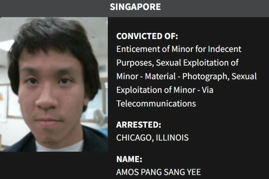 Child sex offender Amos Yee is the only Singaporean to be listed on the website featuring the "worst of the worst criminal aliens arrested by the US Immigrations and Customs Enforcement".