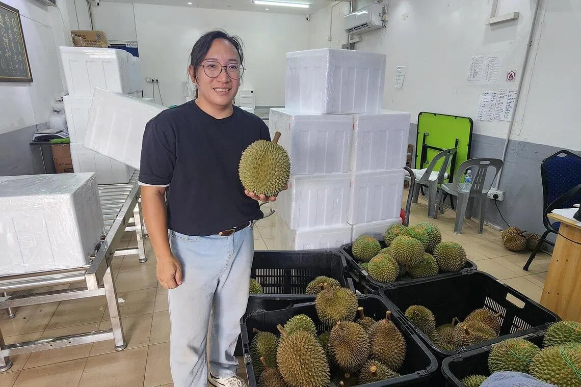In Penang, durian exporter Steven Yam, who also hosts omakase-style durian tastings, said he does not support exporting “pre-cut” harvested durians.