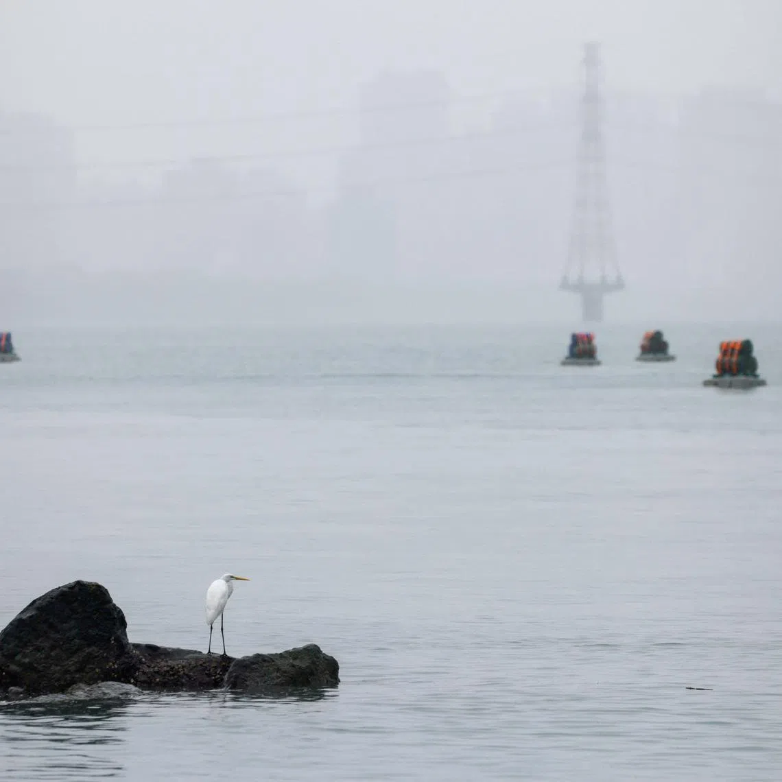 A bird stands on a rock on Tamsui River, with explosive barrels placed by Taiwan military visible in the background, which are part of a series of emergency combat readiness drills, in response to China conducting \"Justice Mission 2025\" military drills around Taiwan, in Taipei, Taiwan, December 31, 2025. REUTERS/Ann Wang