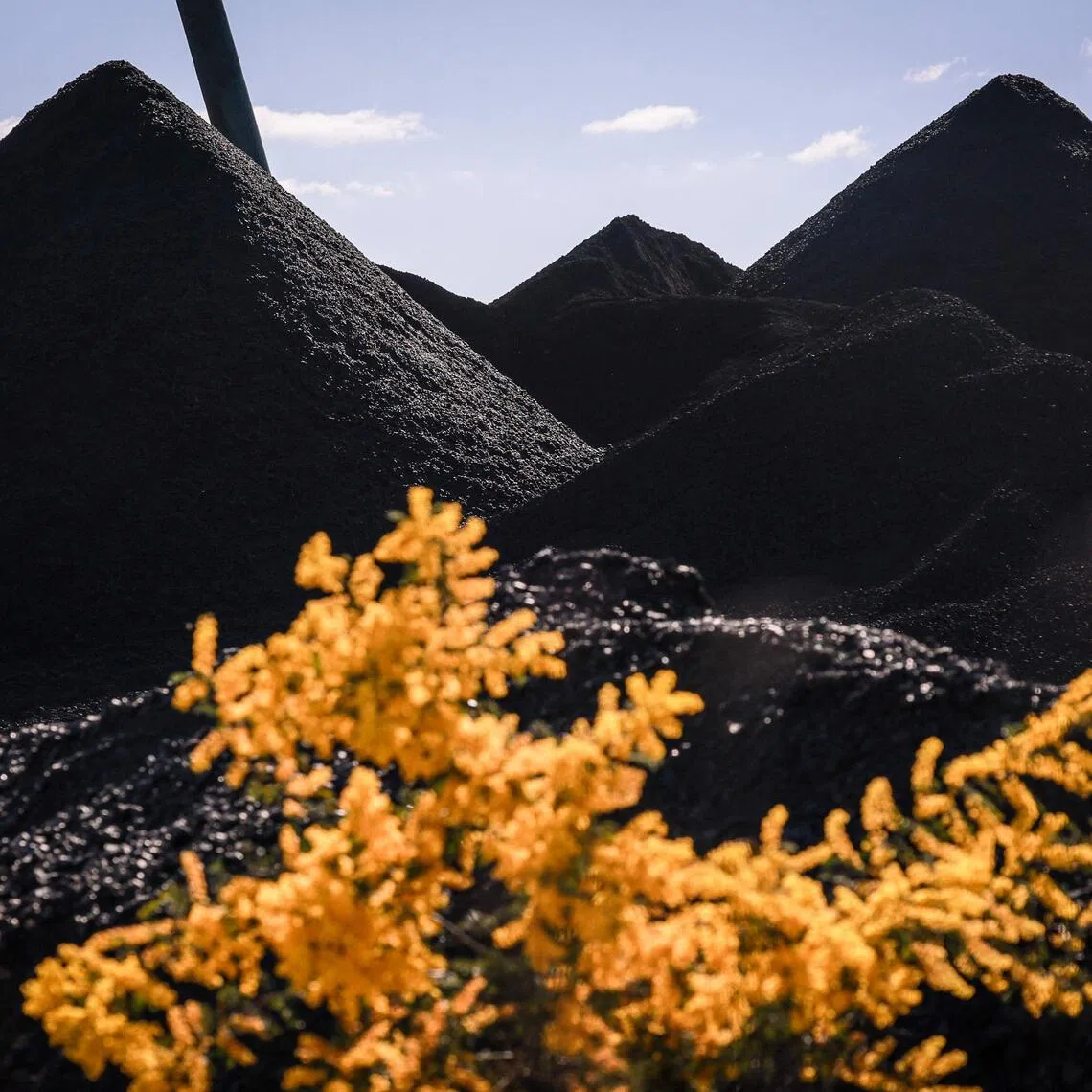 MACH Energy had sought to extend the life of its Mount Pleasant mine, which is due to end operations in December, until 2048 and double its coal production.