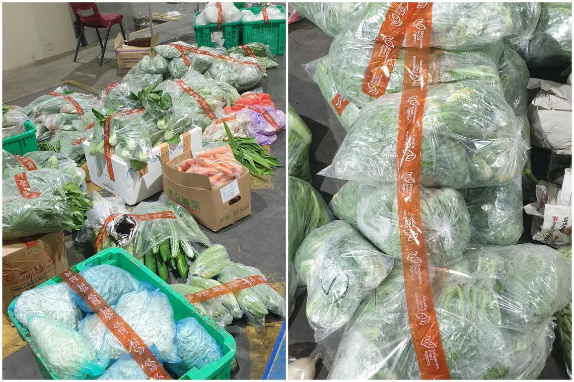 Some of the illegally imported produce include kale, curry leaf, leaf mustard and caixin.  