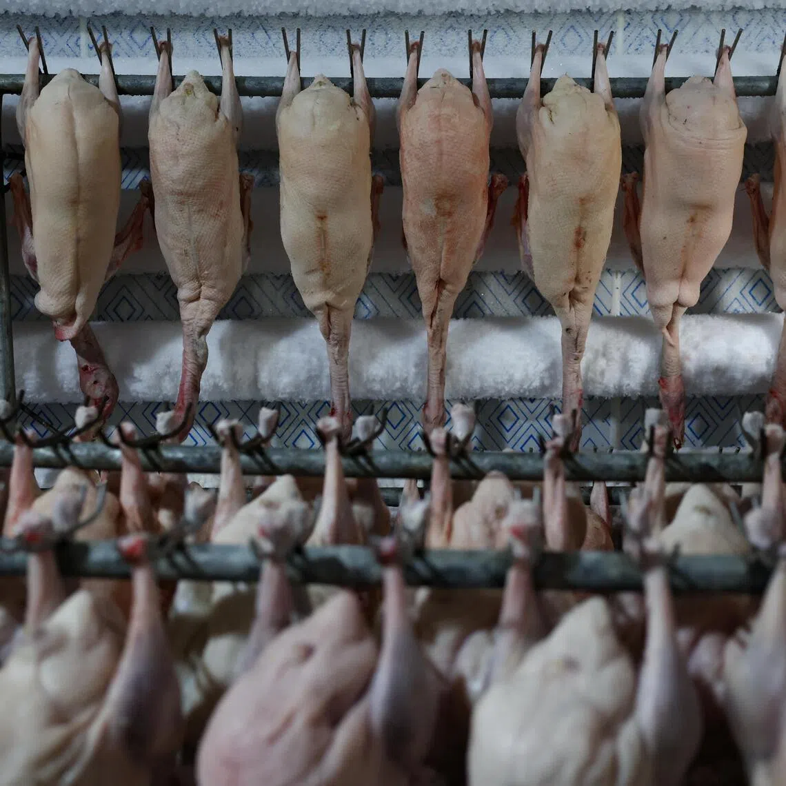 The EU’s investigation into Peking duck is likely to take a year.