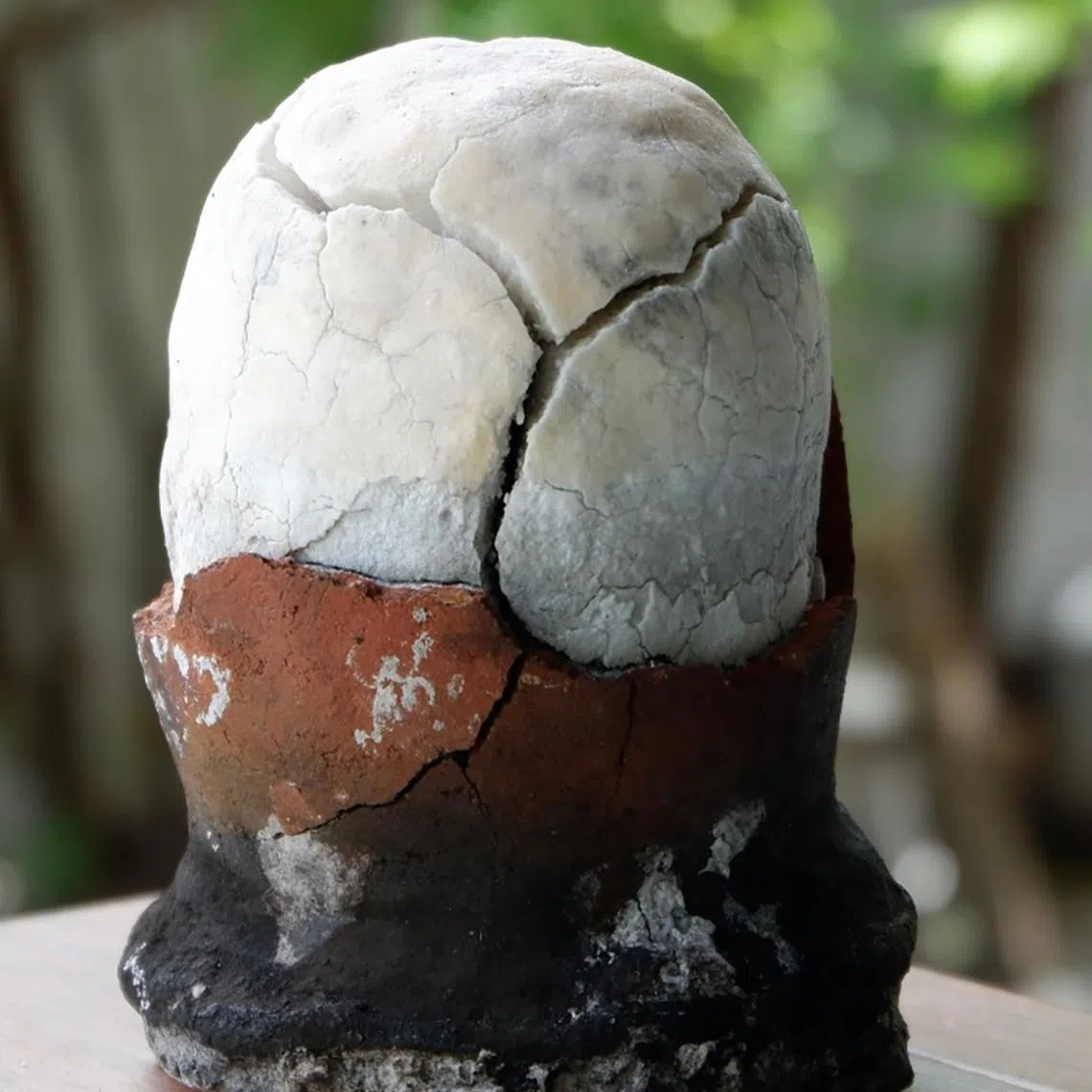 Asin tibuok is an artisanal salt made in Alburquerque municipality in the Philippines’ Bohol province.