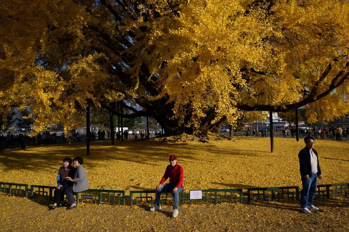 Men were more likely than women to think of marriage as essential, according to the study.