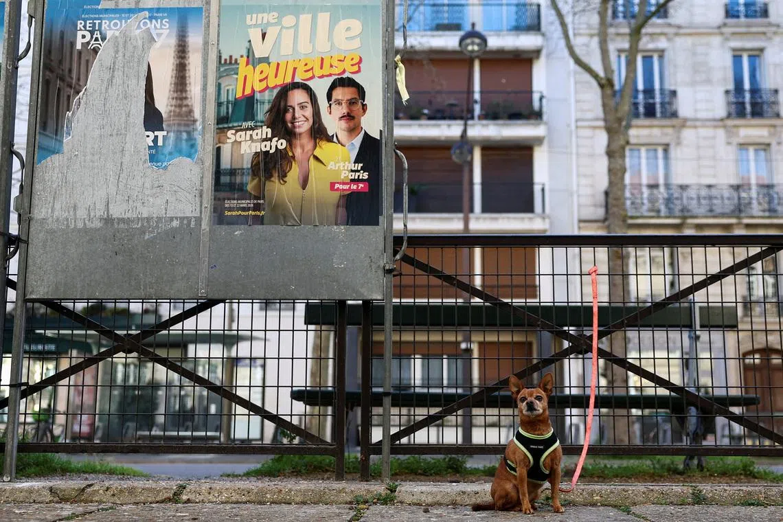 FILE PHOTO: A dog waits outside a polling station for his owner during the first round of the French mayoral election, in Paris, France, March 15, 2026. REUTERS/Gonzalo Fuentes/File Photo