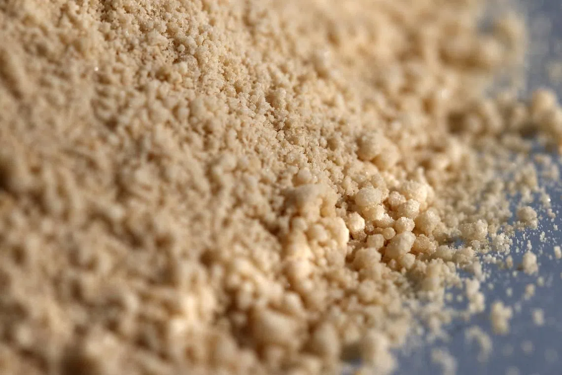 FILE PHOTO: Fentanyl precursors are displayed at Reuters' office in New York City, U.S., July 10, 2024. REUTERS/Andrew Kelly/File Photo