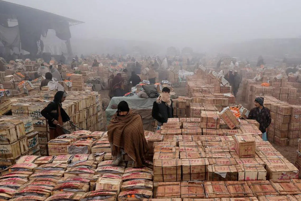FILE PHOTO: People cover themselves to stay warm during heavy fog, early in the morning at the fruit wholesale market on the outskirts of Peshawar, Pakistan January 9, 2024. REUTERS/Fayaz Aziz/File Photo