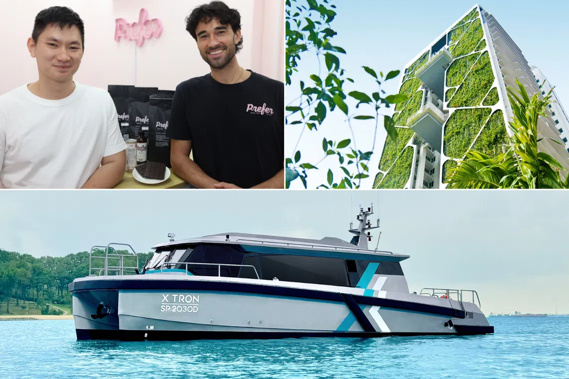 examples and benefits of sustainability in business, prefer’s bean-free coffee powders, city developments limited’s green developments, and pyxis’ electric ferries