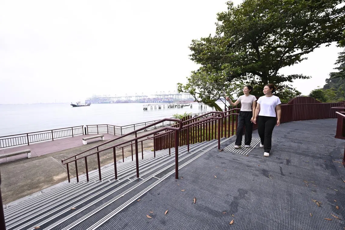 New trail passing through part of restored coastal forest opens in Labrador Nature Park