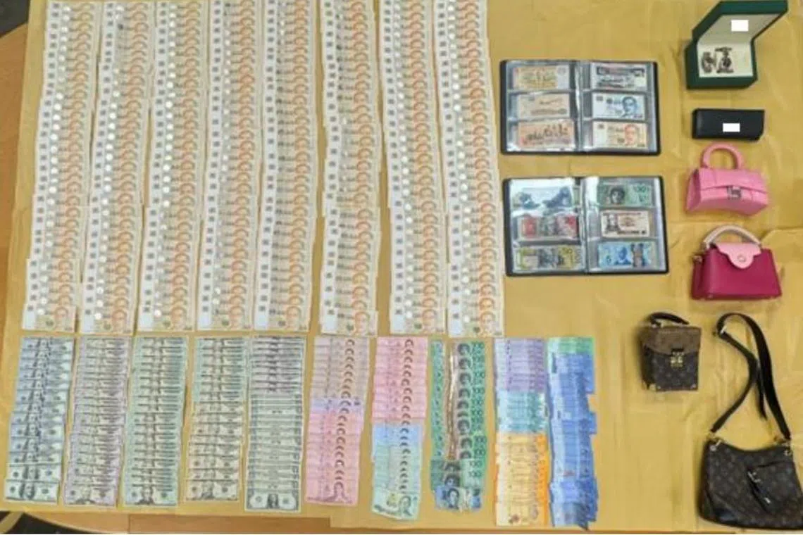 The two men allegedly stole $50,000 in cash and items valued at $67,300 in total, comprising two luxury watches, five luxury bags and some jewellery.