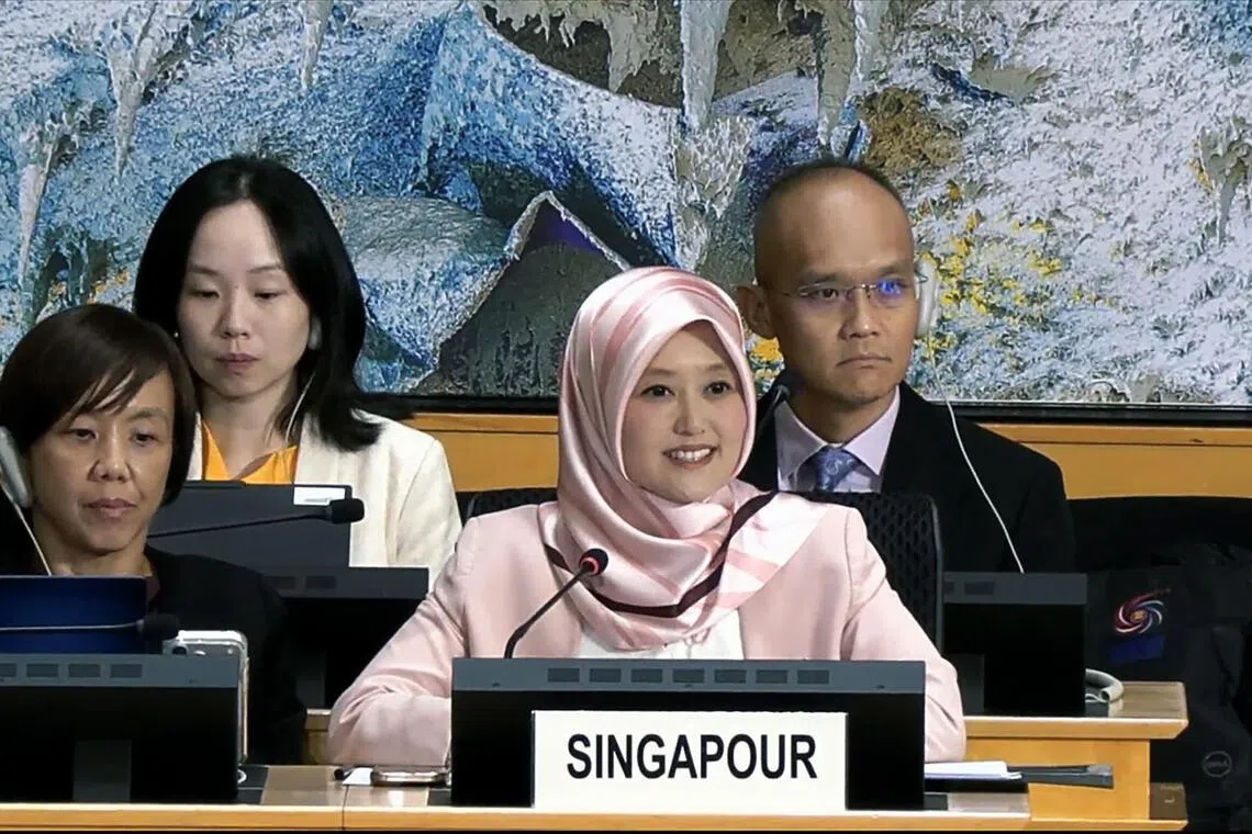 S’pore is pragmatic, focused on outcomes in approach to human rights protection: Rahayu