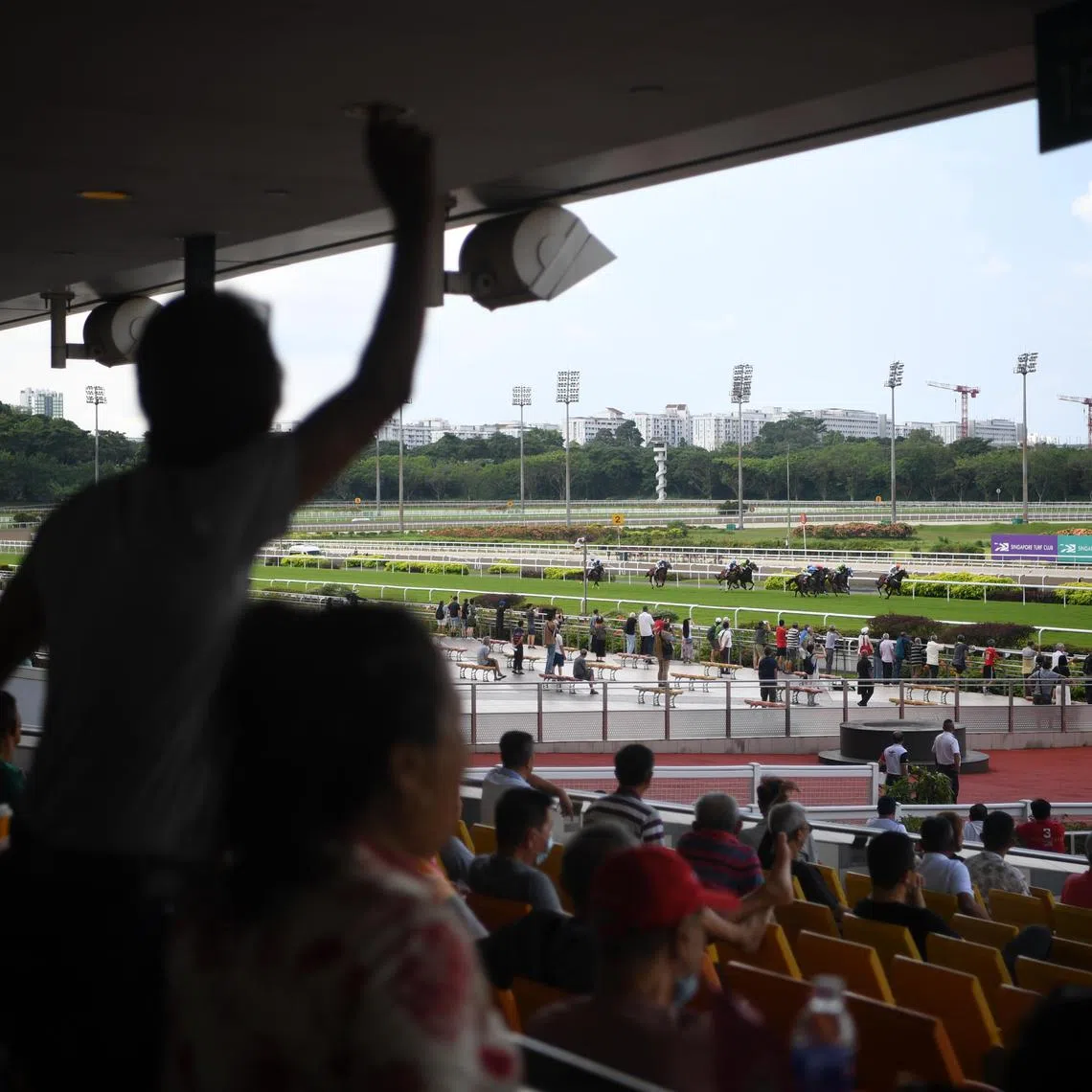 News of the Turf Club's closure sparked a furore unseen in the annals of the 181-year-old Singapore Turf Club.