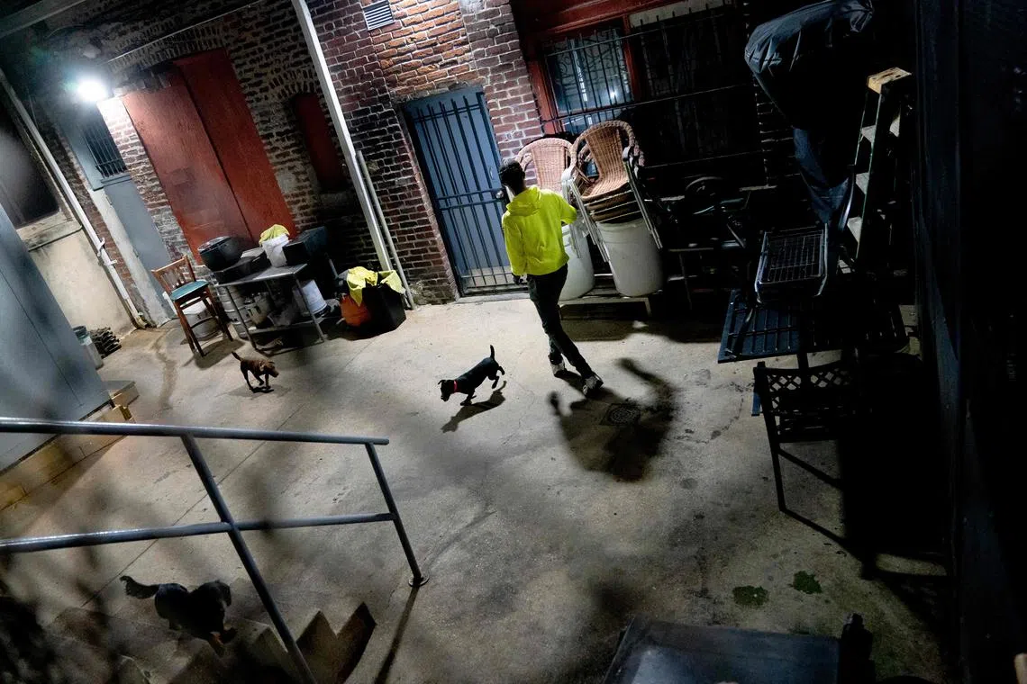 Rat hunters help their dogs search for rats in the Adams Morgan neighborhood of Washington, DC, on June 3, 2023. 