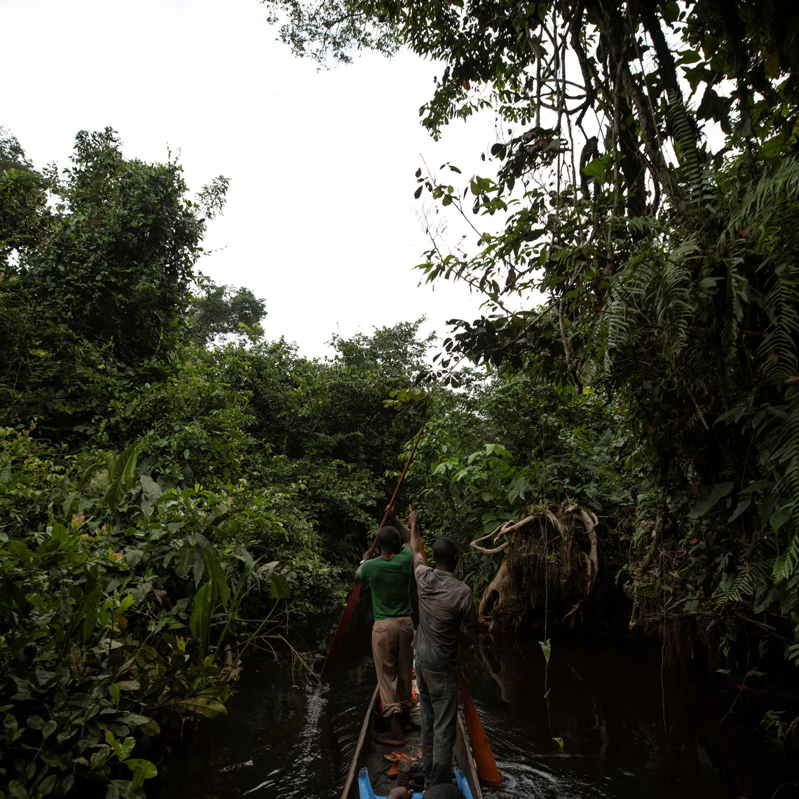 People paddle along a small river on the way to the forest near Mbandaka, Democratic Republic of the Congo, April 02, 2019. REUTERS/Thomas Nicolon/File Photo