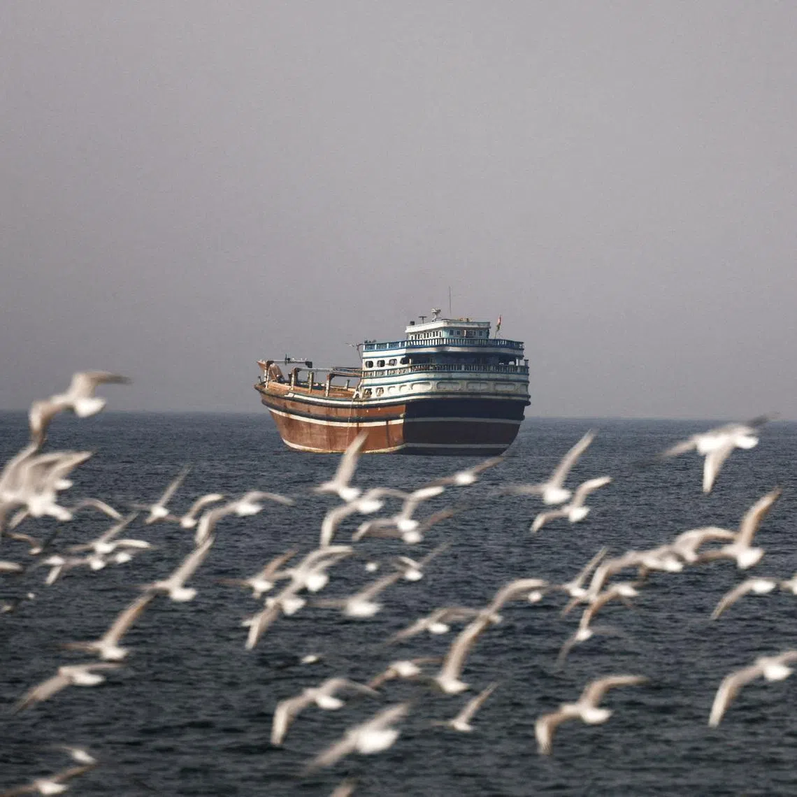 FILE PHOTO: Birds fly near a boat in the Strait of Hormuz amid the U.S.-Israeli conflict with Iran, as seen from Musandam, Oman, March 2, 2026.REUTERS/Amr Alfiky/File Photo